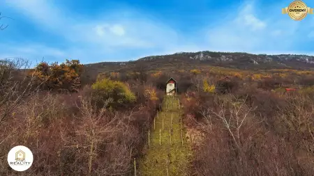 Predaj krásnej vinice s chatou pri obci Hrhov