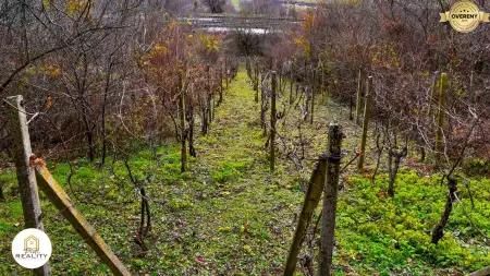 Predaj krásnej vinice s chatou pri obci Hrhov - 7